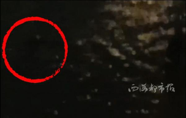 水里的他在救人，岸上的人偷偷做了这件事