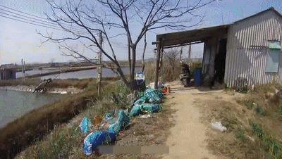 男子第一次陪老婆旅游，因一个临时决定，回来时竟多了3个人