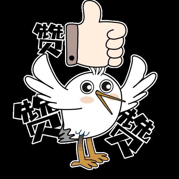 少见！在厦门首次被拍到清晰影像