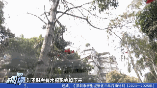 广东这一高校火了！网友：全世界都知道广东人用花煲汤了