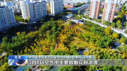 今年花粉高峰期来得猛又早!出现这些症状需警惕 今年花粉高峰期来得猛又早!出现这些症状需警惕