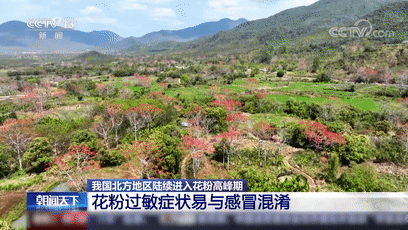 今年花粉高峰期来得猛又早!出现这些症状需警惕 今年花粉高峰期来得猛又早!出现这些症状需警惕