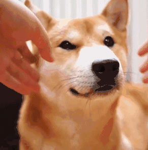 提前“入夏”？最高温超38℃！未来一周海南天气→