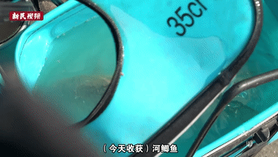 黄浦江边又添新玩法！爷叔：周末来一定要早点抢位子……