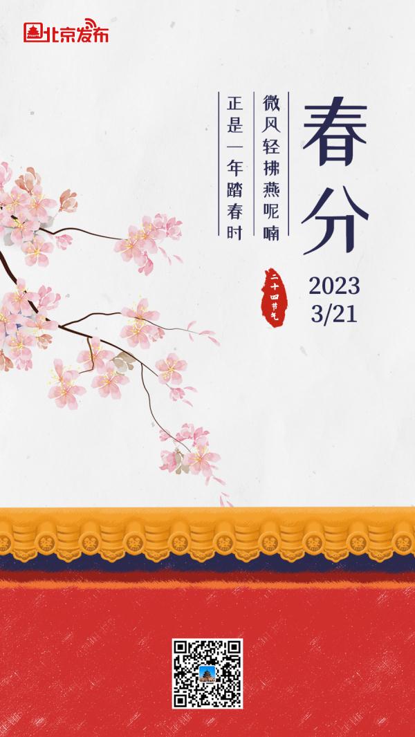 今日春分 | 最是一年春好处，莫负好春光