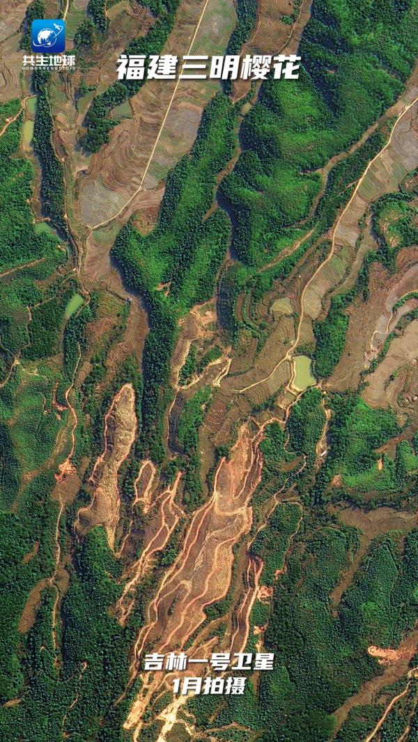 太空视角带你“瞰”春分时节的花开中国 太空视角带你“瞰”春分时节的花开中国