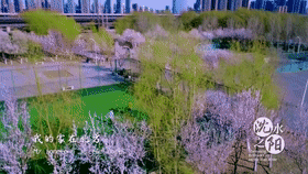 沈阳最全赏花地图来啦！约起来~