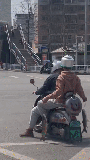 离谱!真有人顶着“电饭煲”“开水壶”上路了…… 离谱!真有人顶着“电饭煲”“开水壶”上路了……