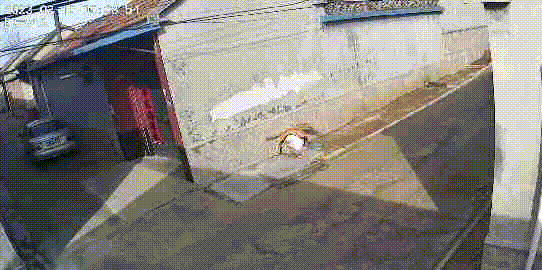 大白天翻墙入室,落网! 大白天翻墙入室,落网!