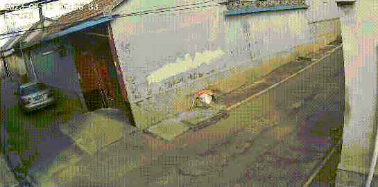 大白天翻墙入室,落网! 大白天翻墙入室,落网!