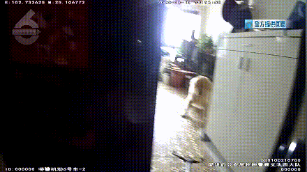 被自家狗狂叫乱咬吓到,李女士选择了报警 被自家狗狂叫乱咬吓到,李女士选择了报警