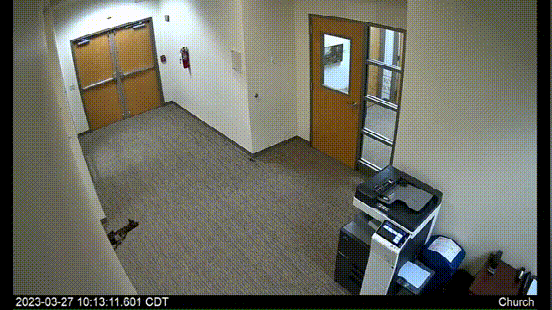 美小学枪击案最新监控曝光:女子持步枪疯狂扫射楼门 穿黑背心四处找人 美小学枪击案最新监控曝光:女子持步枪疯狂扫射楼门 穿黑背心四处找人