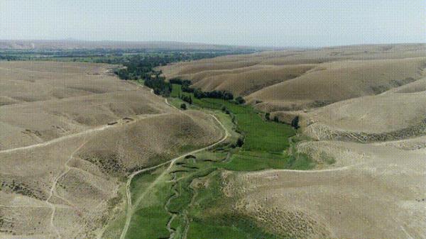沙漠动物军团,申请出战! 沙漠动物军团,申请出战!