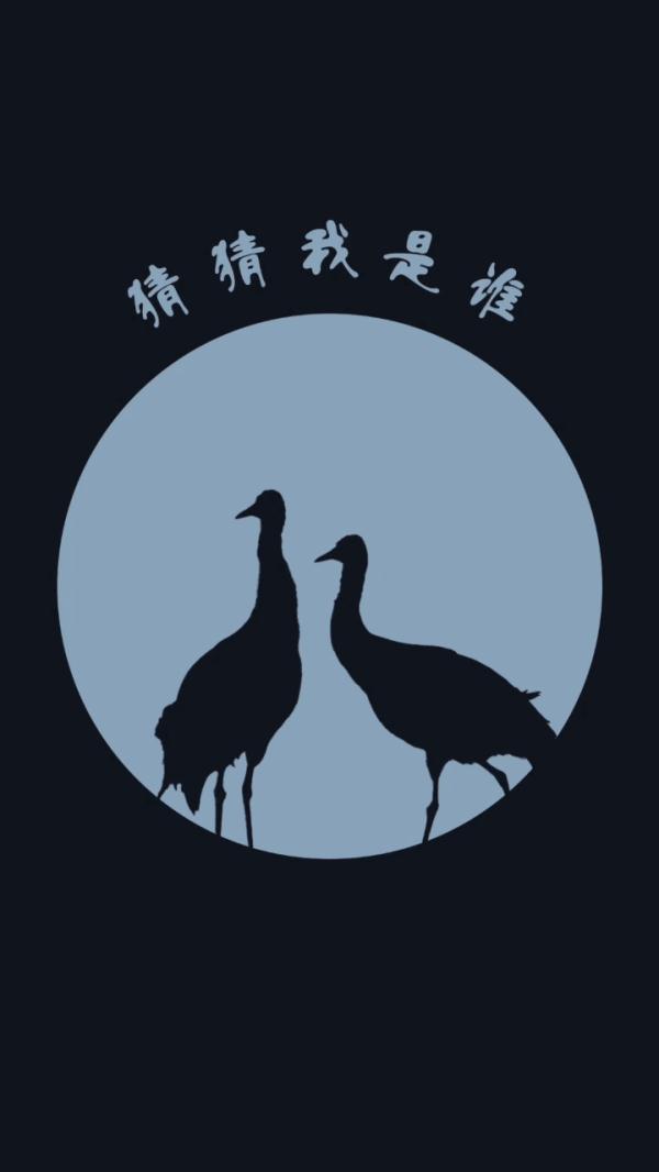 这些高原上的“精灵”，你认识吗？