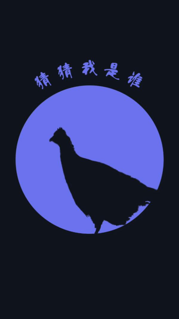 这些高原上的“精灵”，你认识吗？