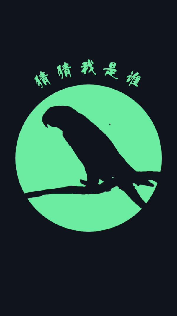 这些高原上的“精灵”，你认识吗？