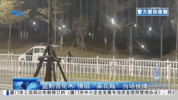 许某根、王某娟(情侣),被警方抓获! 许某根、王某娟(情侣),被警方抓获!