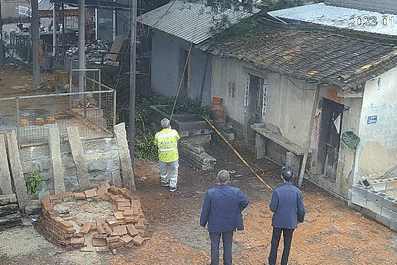 这种树的树枝砍不得!这几人已涉嫌犯罪 这种树的树枝砍不得!这几人已涉嫌犯罪