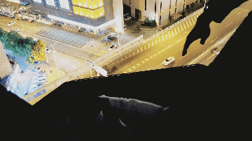 “不要跳!你过来,哥哥求你了” “不要跳!你过来,哥哥求你了”