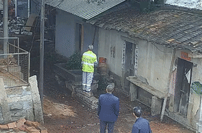 这种树的树枝砍不得!这几人已涉嫌犯罪 这种树的树枝砍不得!这几人已涉嫌犯罪