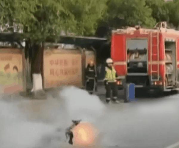 惊险！骑着骑着就“火”了！