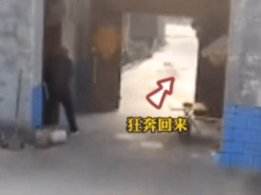孕妻在厨房时煤气爆炸！丈夫闻声飞奔回家
