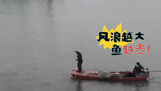 风浪越大鱼越贵？你电视剧看多了吧