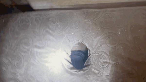 居民家中惊现4米长蛇