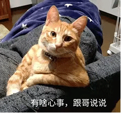 注意！厦门今天有变化！有台风或将24小时内生成！接下来……