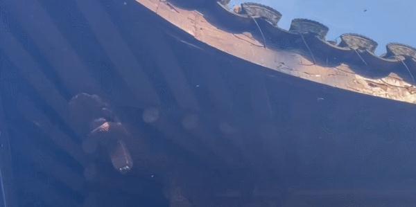 去阳台晒衣服，开门后吓一大跳！高峰期来了，还会越来越多