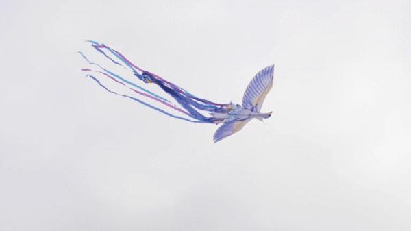 你见过春风的样子么？