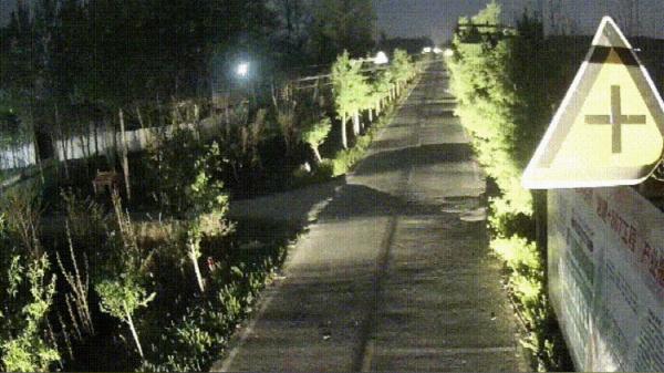 一匹脱缰赛马，惊动了三个派出所……