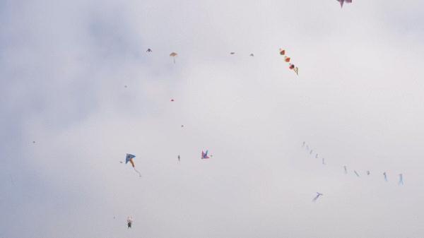 你见过春风的样子么？