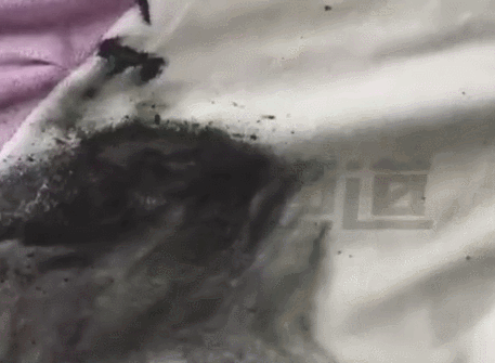 你用的这个电器竟然会爆炸？