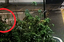 海宁一仓库48瓶茅台酒被盗！嫌疑人居然是“老熟人”