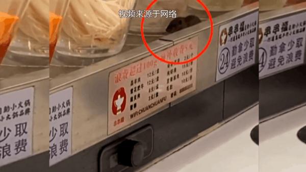 恶心！火锅店菜品传送带上老鼠明目张胆穿行，回应来了