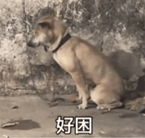 睡8小时≠睡得好！睡没睡够，做个小测试就知道！