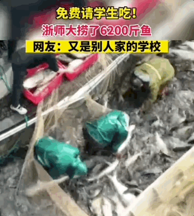 学校湖里捞起3200公斤鱼,浙江一高校:全校师生免费吃!网友:微笑中透露着眼红 学校湖里捞起3200公斤鱼,浙江一高校:全校师生免费吃!网友:微笑中透露着眼红