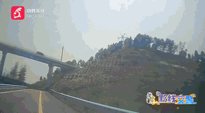 “朋友说前面能掉头！” 女子高速上逆行三公里 周边车辆纷纷鸣笛避让