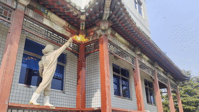 近期江苏多发！“抱团”扰民，市民千万注意！