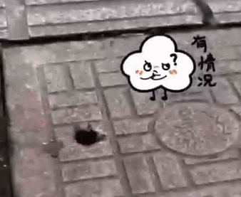 杭州一路面不停飞出虫子！撬开一看头皮发麻……