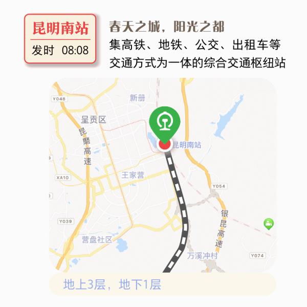出国游“上新”！购票、签证、通关……最详乘车攻略
