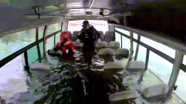 男子驾车意外落水，民警及时救援助其脱困