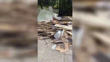 上海市中心一大楼恶臭异常让人疯狂猜想，神秘大门打开后无比震惊！