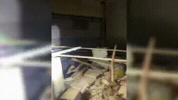 上海市中心一大楼恶臭异常让人疯狂猜想，神秘大门打开后无比震惊！