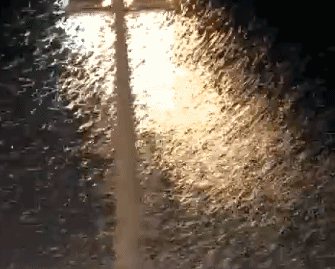 广州人夏天最怕的，还是来了！