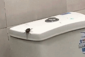 广州人夏天最怕的，还是来了！