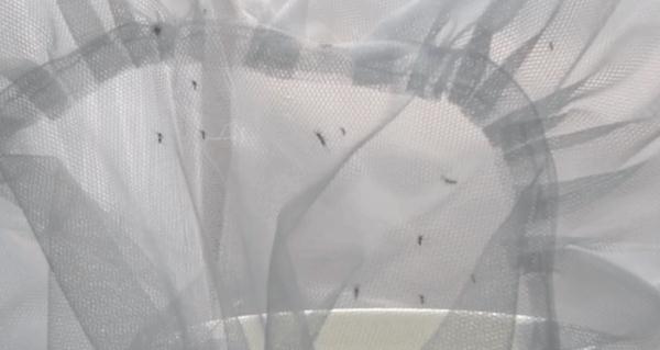 广州人夏天最怕的，还是来了！