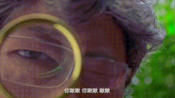 广州人夏天最怕的，还是来了！