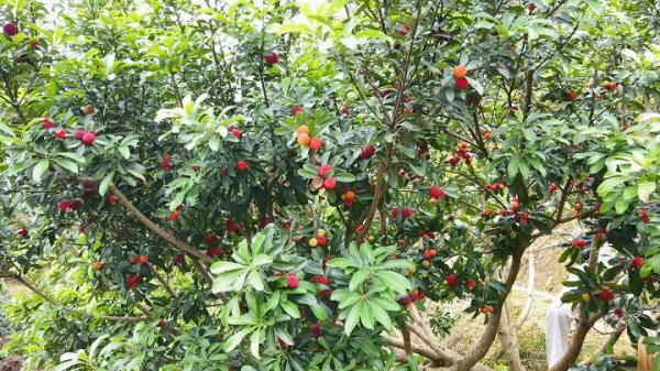 母亲节，广州这些景区女性免票！明天就带妈妈去→